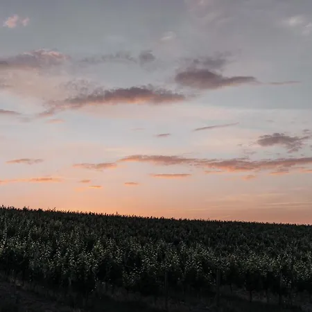 Freigut Thallern Vendégház Gumpoldskirchen