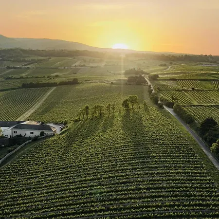 Freigut Thallern 3* Gumpoldskirchen