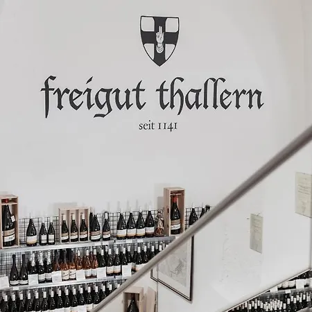 Penzion Freigut Thallern Gumpoldskirchen