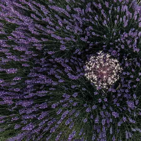 Vendégház Freigut Thallern Gumpoldskirchen