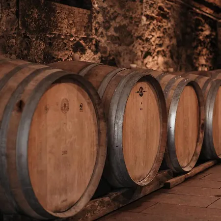 Vendégház Freigut Thallern Gumpoldskirchen