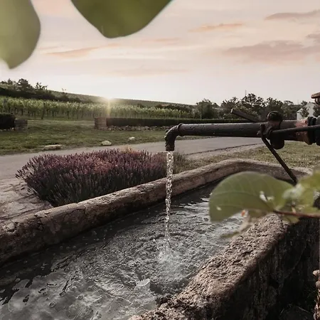Vendégház Freigut Thallern Gumpoldskirchen