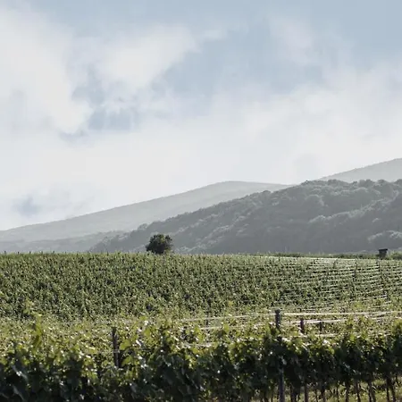 Freigut Thallern Guest house Gumpoldskirchen