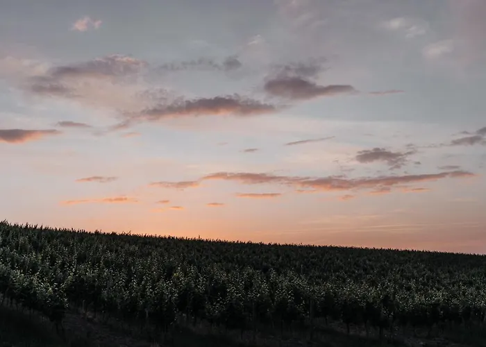 Freigut Thallern Casa de hóspedes Gumpoldskirchen