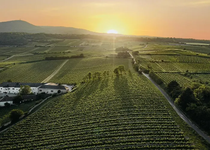 弗莱古特塔棱酒店 3* 冈姆波尔茨基尔兴