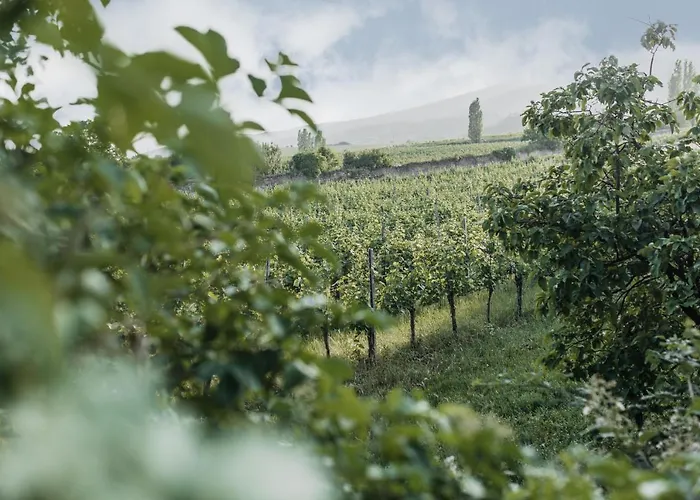 弗莱古特塔棱酒店