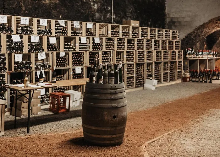 招待所 弗莱古特塔棱酒店