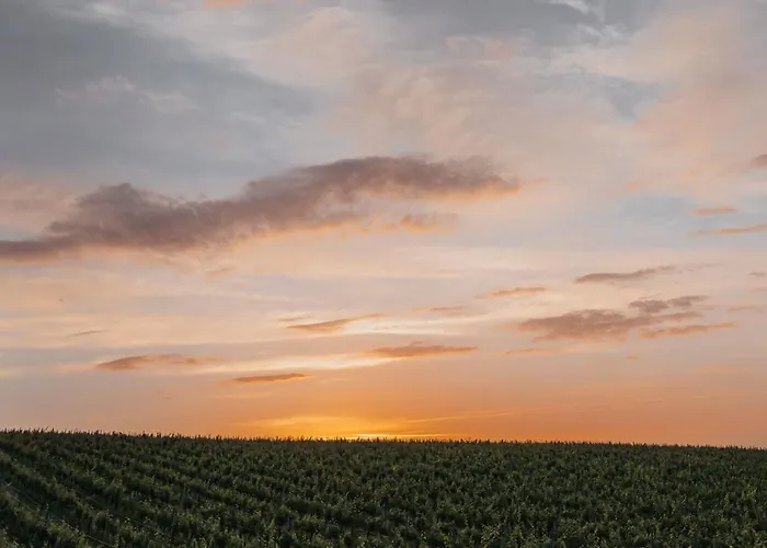 弗莱古特塔棱酒店 3*