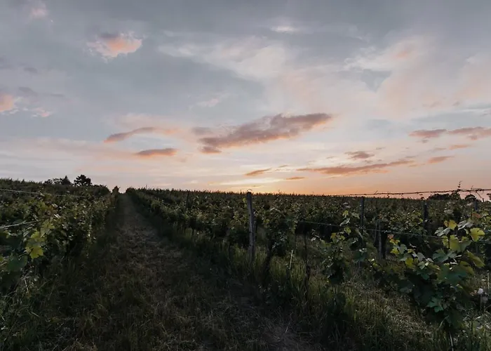 Гостевой дом Freigut Thallern Гумпольдскирхен