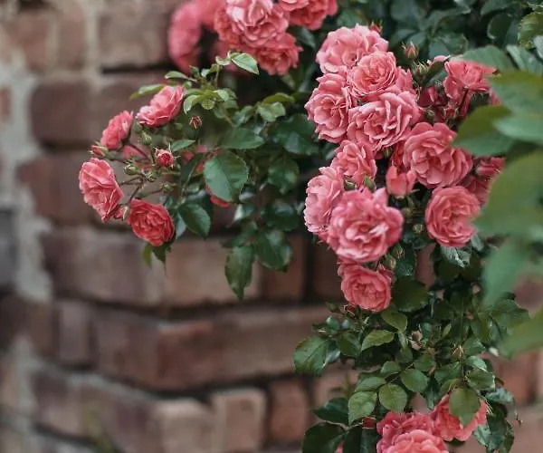 Freigut Thallern Casa de hóspedes