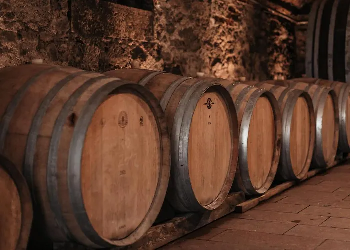 招待所 弗莱古特塔棱酒店 冈姆波尔茨基尔兴