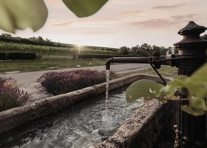 Casa de hóspedes Freigut Thallern Gumpoldskirchen