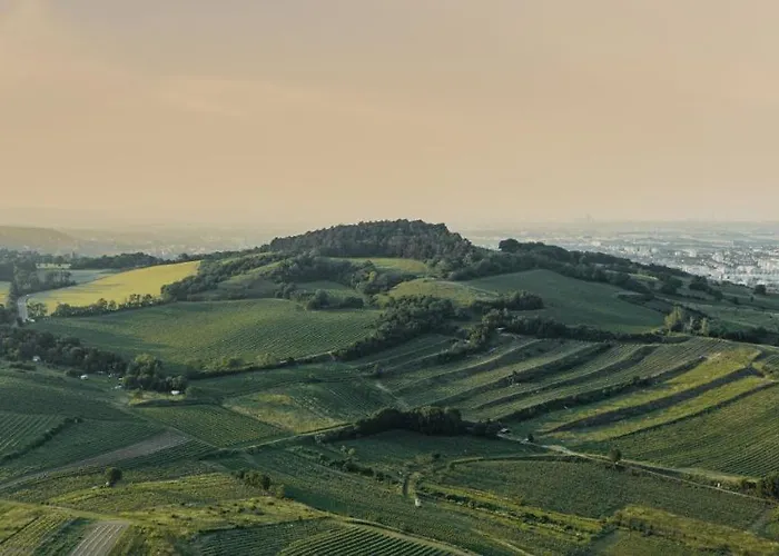 Freigut Thallern Casa de hóspedes 3*