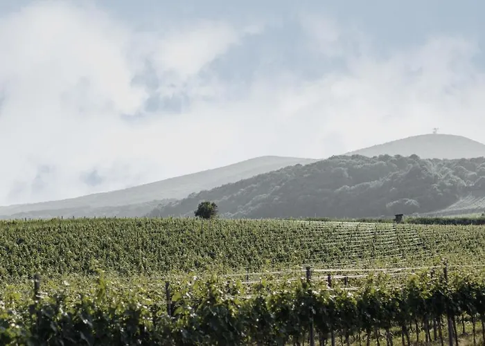 弗莱古特塔棱酒店 招待所 冈姆波尔茨基尔兴