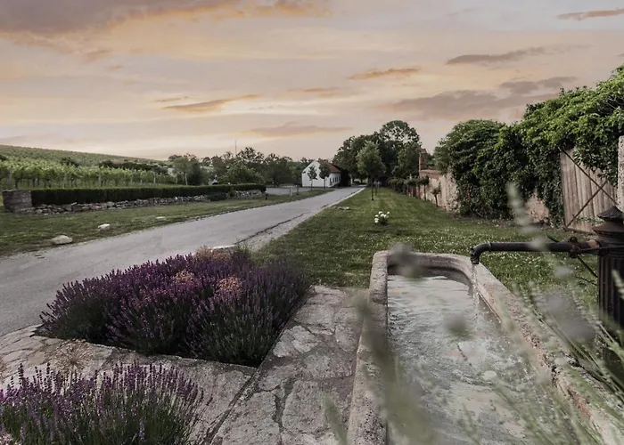 Casa de hóspedes Freigut Thallern 3*